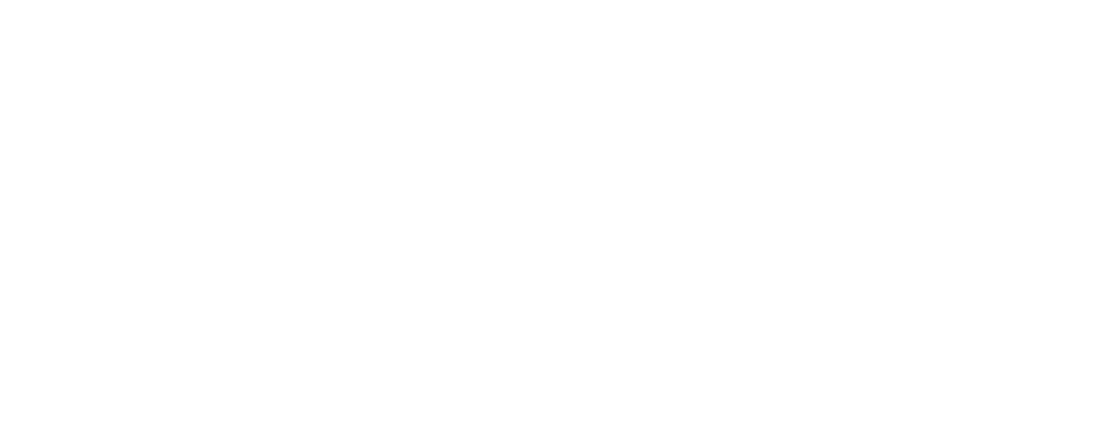 Focus H&S