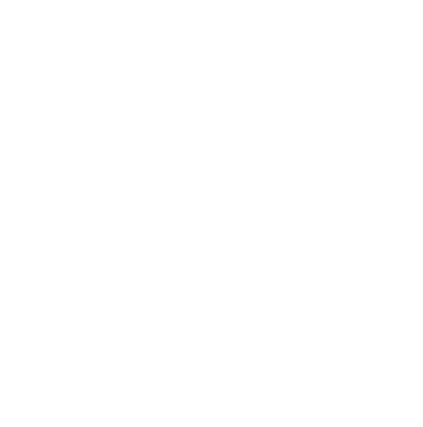 포커스H&S