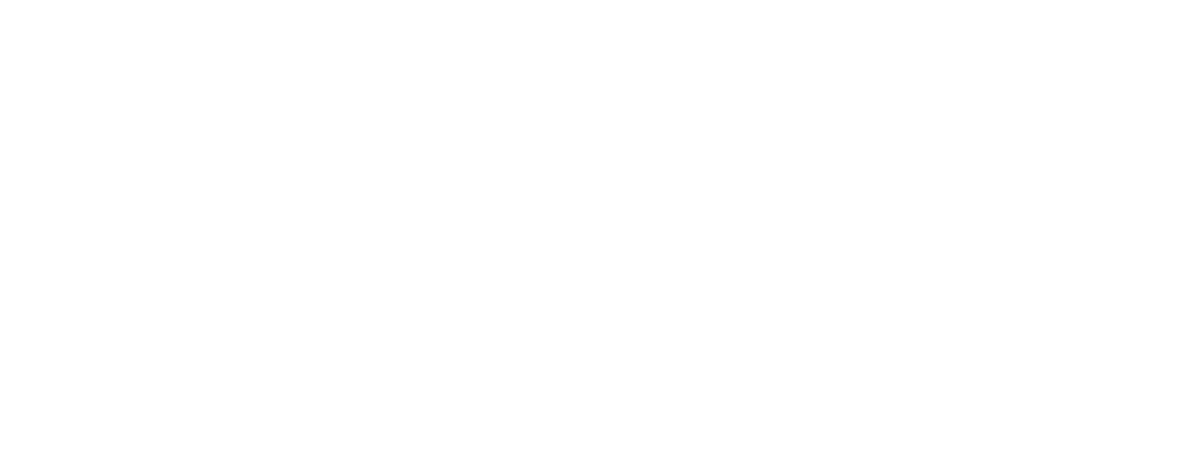 포커스H&S